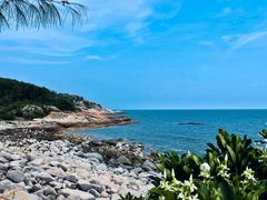 -广东惠东海龟国家级自然保护区