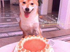 -浮光之丘MontCake生日蛋糕(花牌坊店)