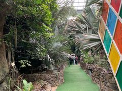 -呀路古热带植物园