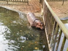 -海南热带野生动植物园