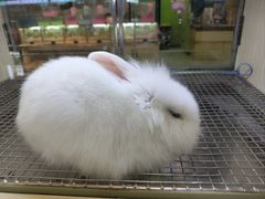 -光明广场