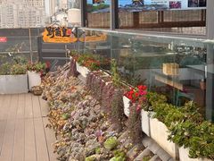 -野菌皇海景野生菌火锅(滨海大道店)