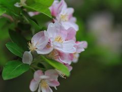 -上海吴淞炮台湾国家湿地公园