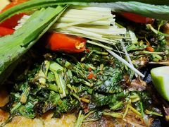 -云海肴汽锅鸡·云南小炒(天津国金汇店)