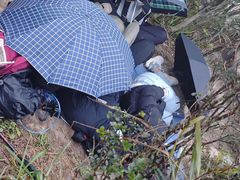 -梧桐山风景名胜区