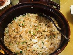 鸡饭-正宗鸡饭粤香酒家(朱村店)