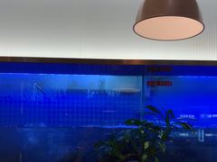 -老板恋上鱼(印象城店)