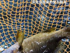 -新欢海鲜坊(赖屋店)
