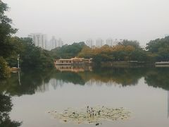 -荔枝公园(福田区)
