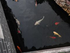 DSC08156-绿华园休闲山庄