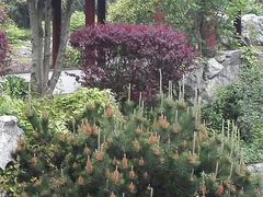 景点-采石矶景区