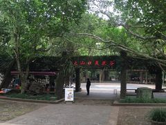 -海口火山口国家地质公园