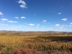 -塞罕坝国家级自然保护区