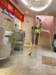 -悦己堂美容养生SPA