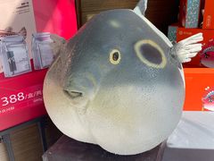 -肆月河豚·新淮扬(金融街店)