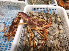 -頂好酒家·经典粤菜(海信广场店)