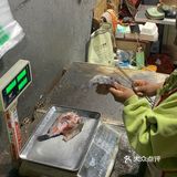 土豆真的是全国最好吃的吧 强烈的土豆淀粉感