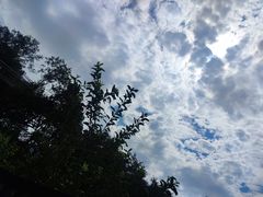 -少华山国家森林公园