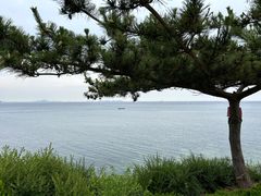 -养马岛旅游度假区