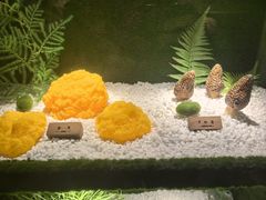 -慢丽江·云南野生菌土鸡锅(西山店)