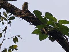 -敬亭山风景名胜区