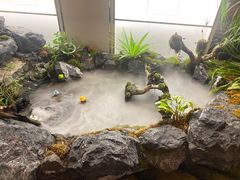 -杭州温德姆至尊豪廷大酒店