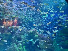 -成都浩海立方海洋公园