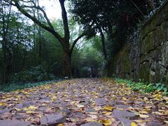 -西湖风景区十里琅珰-五云山