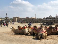 -镇北堡西部影城