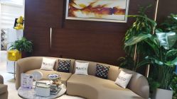 -洁铭新加坡医美