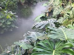 -南通洲际绿博园