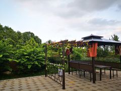 -太阳岛度假酒店