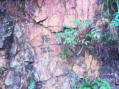 -羚羊峡古栈道森林公园