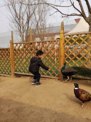 -萌宠亲子动物乐园(槐房万达店)