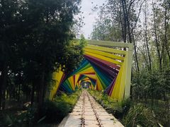 -合肥滨湖国家森林公园