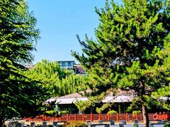 -唐城墙遗址公园