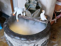 -崂山水果园农家宴(泉水鸡店)