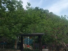 -北京水岸山吧度假村(雁栖镇店)