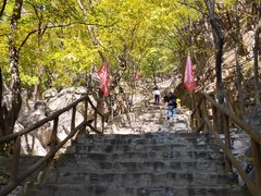 -北京上方山国家森林公园