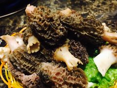 -菌海森林·非遗野生菌火锅(西山区滇池路摩根道店)