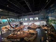 -自贡恐龙博物馆