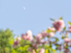 -白塘生态植物园