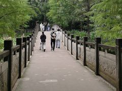 -重庆彩云湖湿地公园
