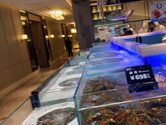 -同庆楼(滨湖万达广场店)