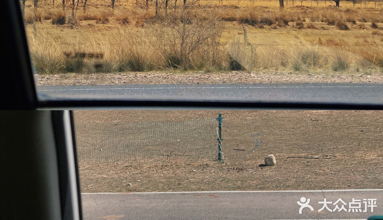 西北大环线｜你总要去远方看一看⛰️