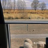 西北大环线｜你总要去远方看一看⛰️