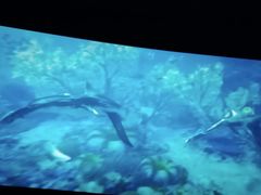 -星辉电影公园(时代广场CC MALL店)