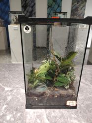 -酷嗒动物文化乐园(cutezoo西溪乐天城店)