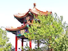 -白水寺森林公园