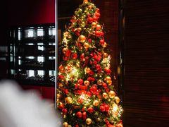 -L'ATELIER de Joel Robuchon(外滩18号店)